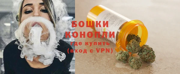 сатива Беломорск