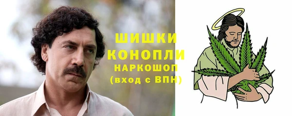 сатива Беломорск