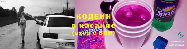 сатива Беломорск