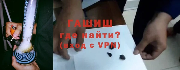 сатива Беломорск