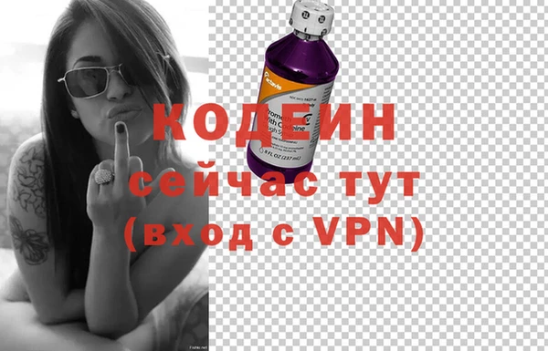 apvp Белокуриха