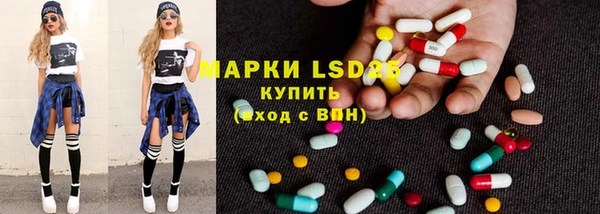 сатива Беломорск