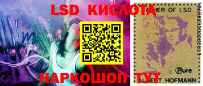 крисы Краснодар