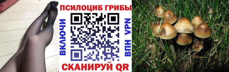 Псилоцибиновые грибы Magic Shrooms  цена наркотик  omg рабочий сайт  Армавир 