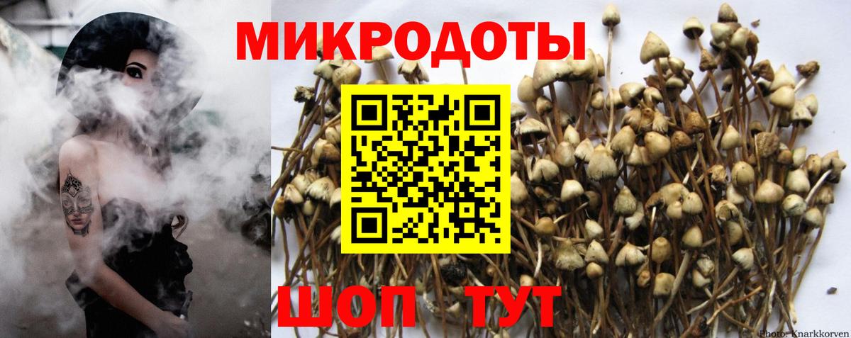 Галлюциногенные грибы прущие грибы Армавир